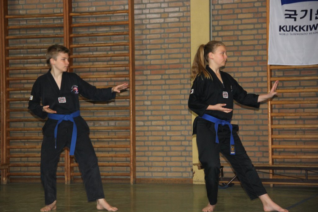 Stage Poomsae du 16 avril