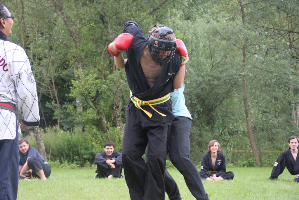 Stage d'été 2016