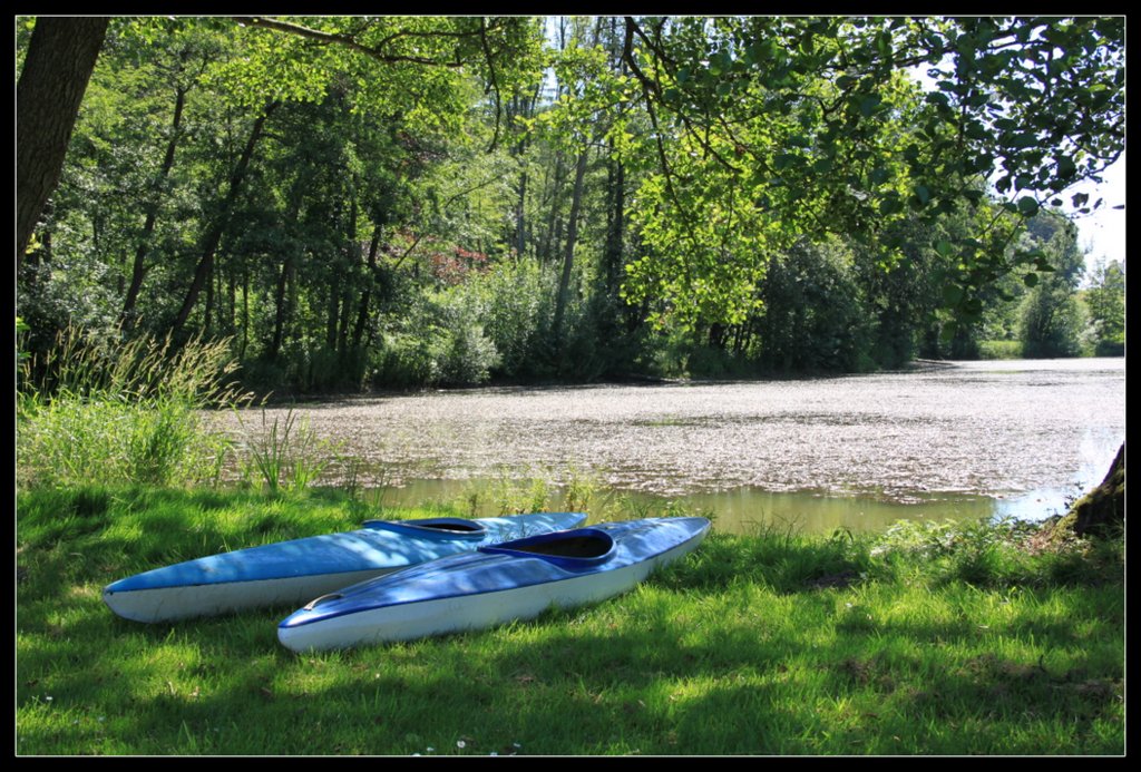 Stage d'été 2019