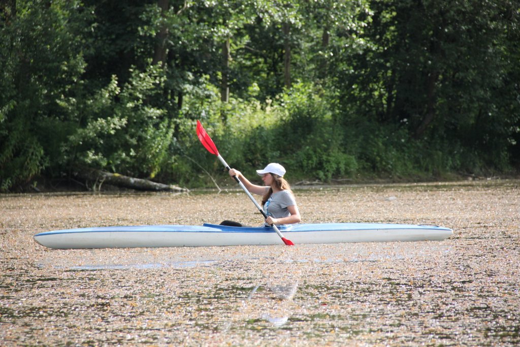 Stage d'été 2019