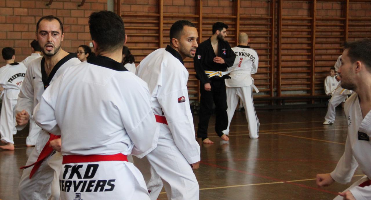Stage Verviers - 29.01.2017 - groupe des Juniors & Adultes