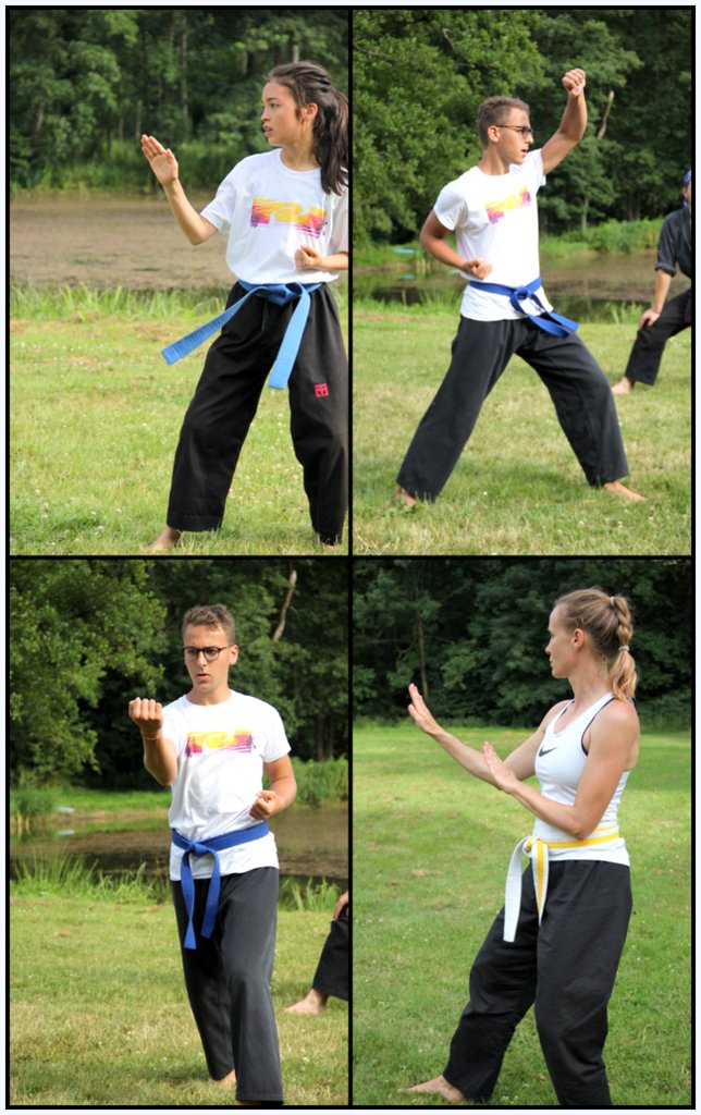 Stage d'été 2019