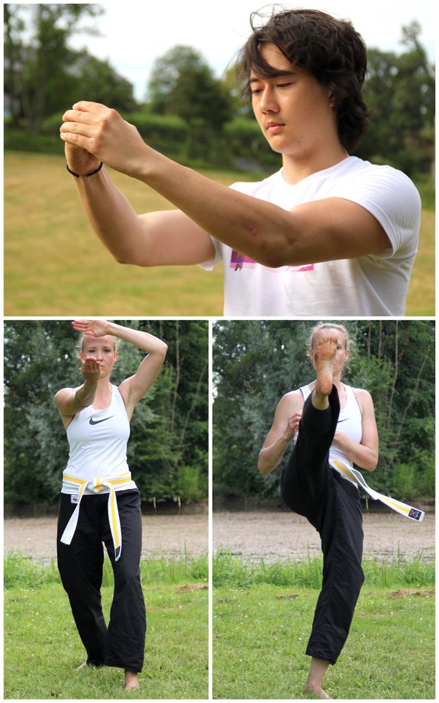 Stage d'été 2019