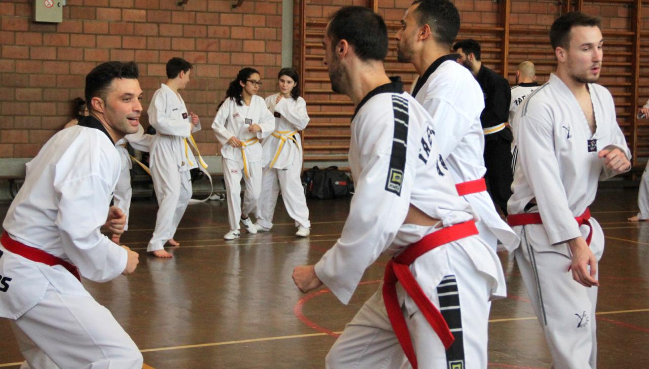 Stage Verviers - 29.01.2017 - groupe des Juniors & Adultes