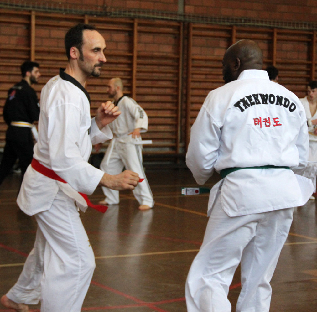 Stage Verviers - 29.01.2017 - groupe des Juniors & Adultes