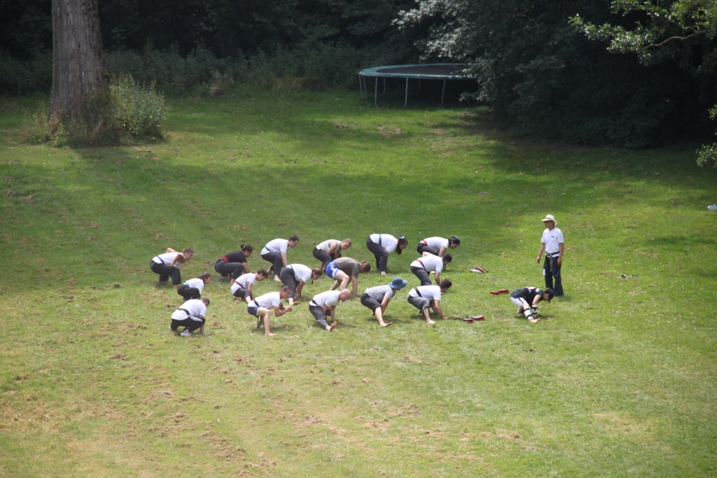 Stage d'été 2019
