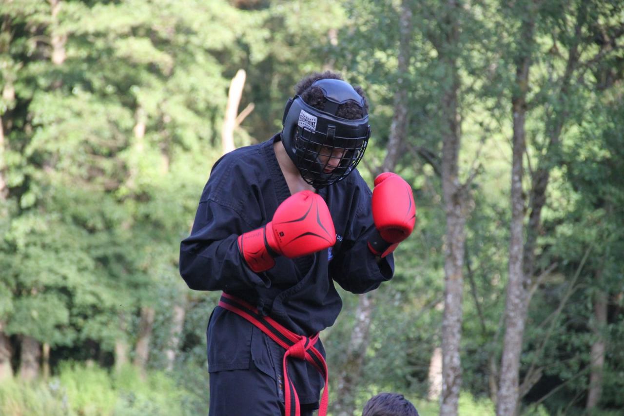 Stage d'été 2017