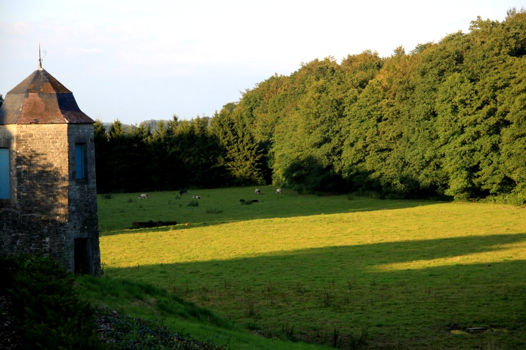 Stage d'été 2016