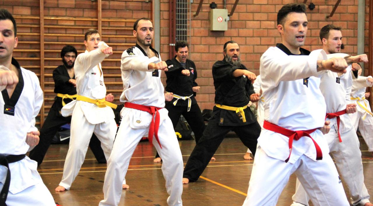 Stage Verviers - 29.01.2017 - groupe des Juniors & Adultes