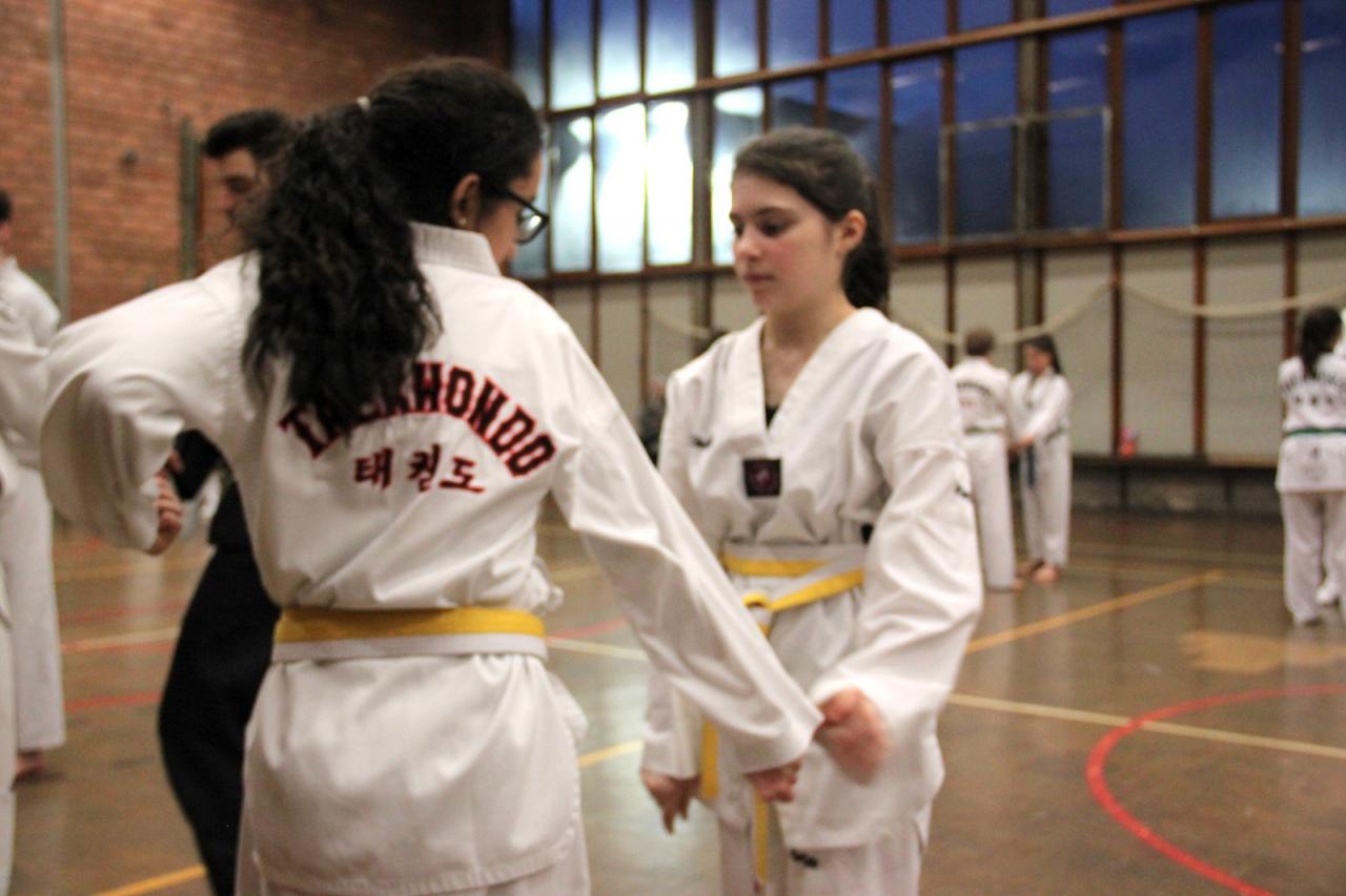 Stage Verviers - 29.01.2017 - groupe des Juniors & Adultes