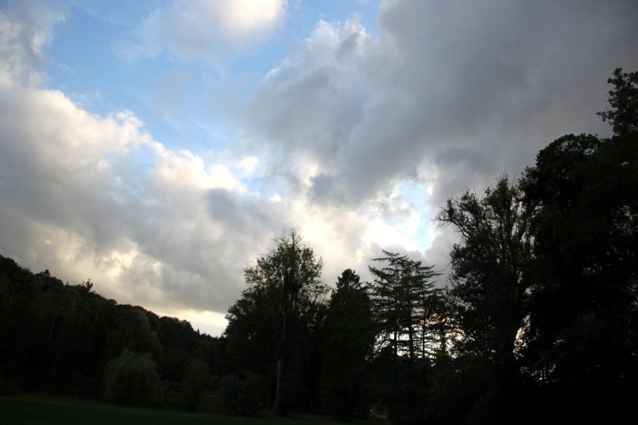 559-IMG_6298