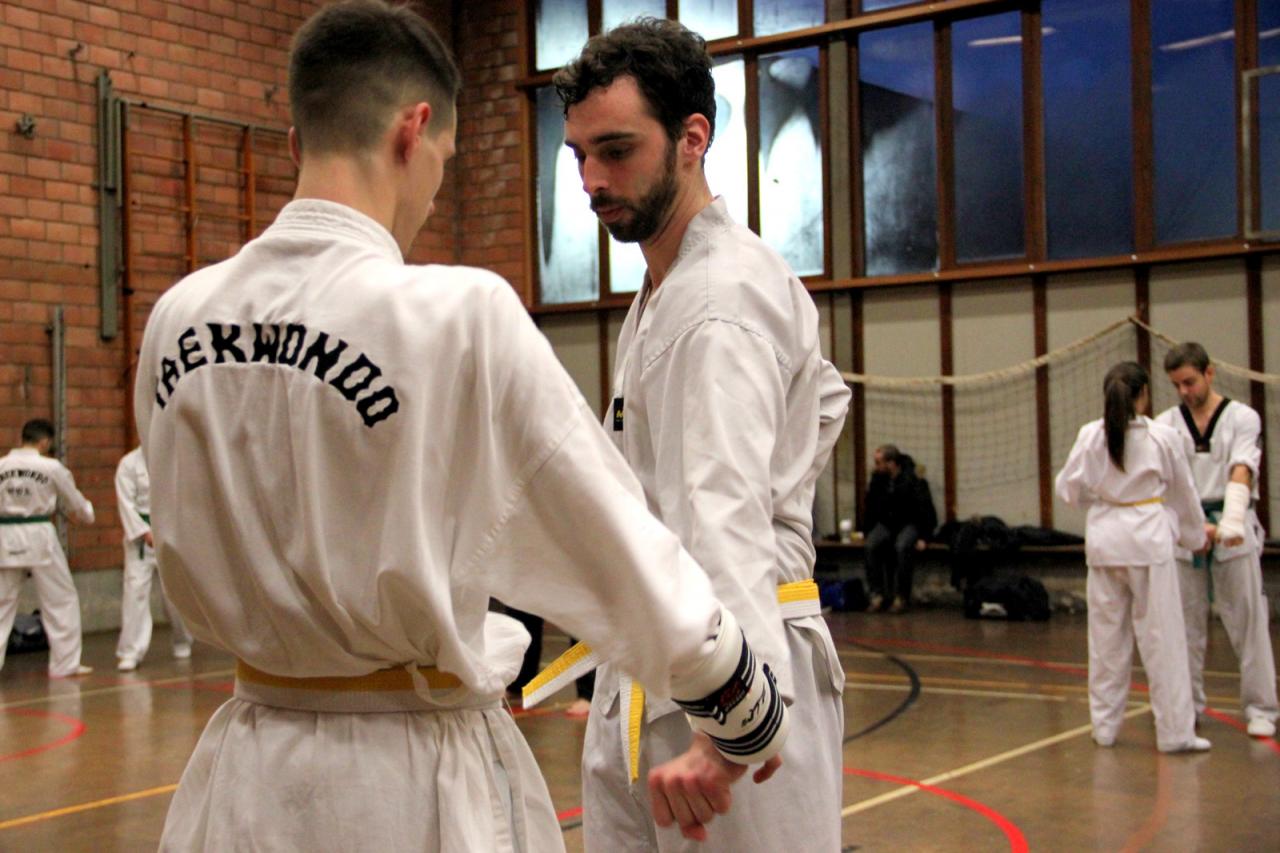 Stage Verviers - 29.01.2017 - groupe des Juniors & Adultes