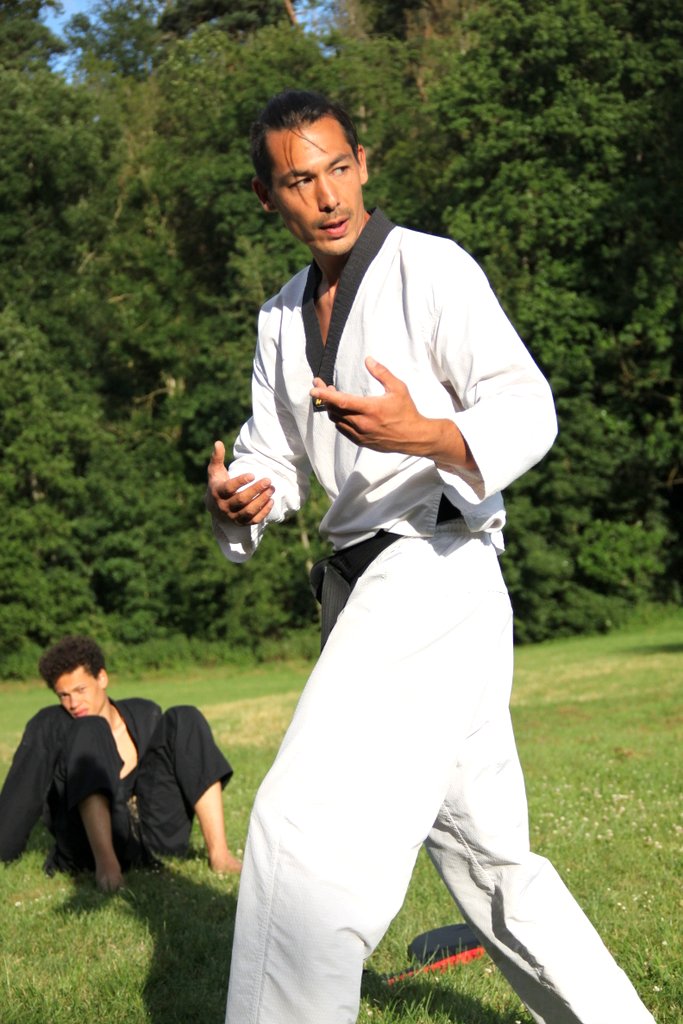 Stage d'été 2019