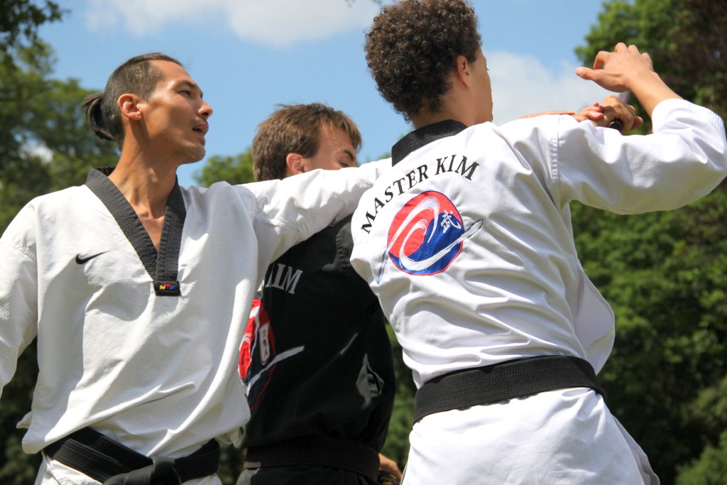 Stage d'été 2019