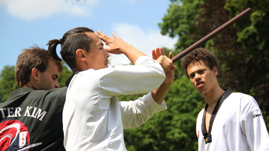 Stage d'été 2019