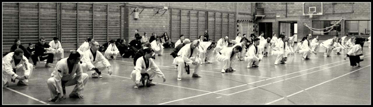 Stage Verviers - 29.01.2017 - groupe des Juniors & Adultes