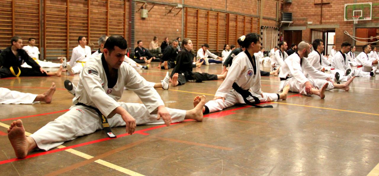 Stage Verviers - 29.01.2017 - groupe des Juniors & Adultes