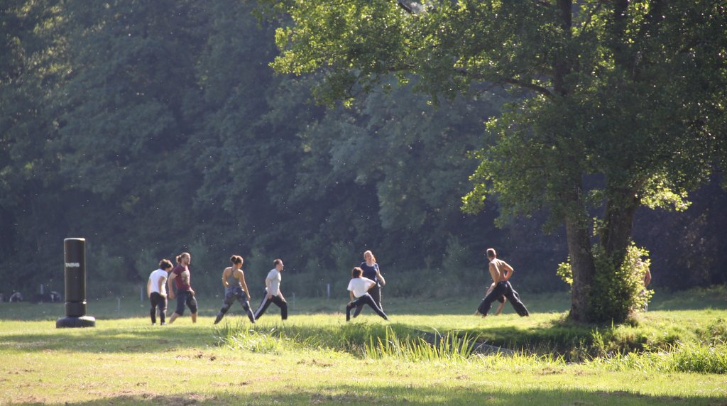 Stage d'été 2019