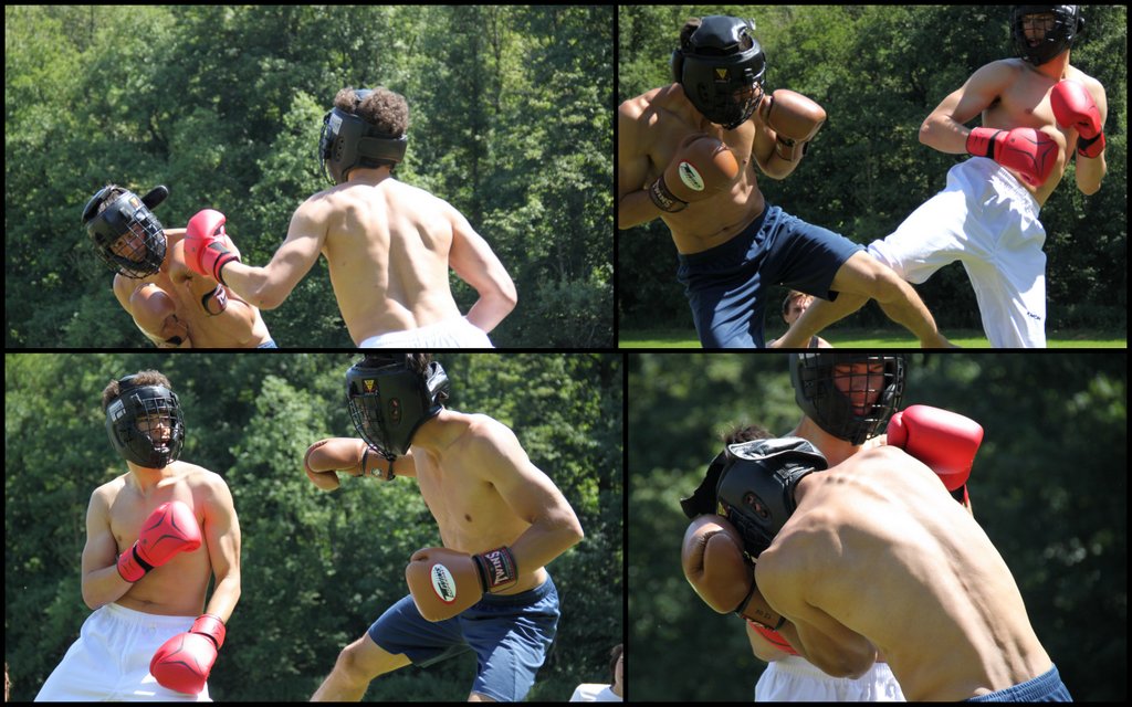 Stage d'été 2019