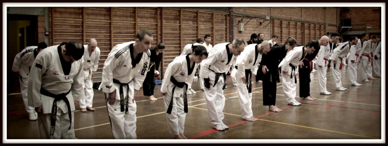 Stage Verviers - 29.01.2017 - groupe des Juniors & Adultes