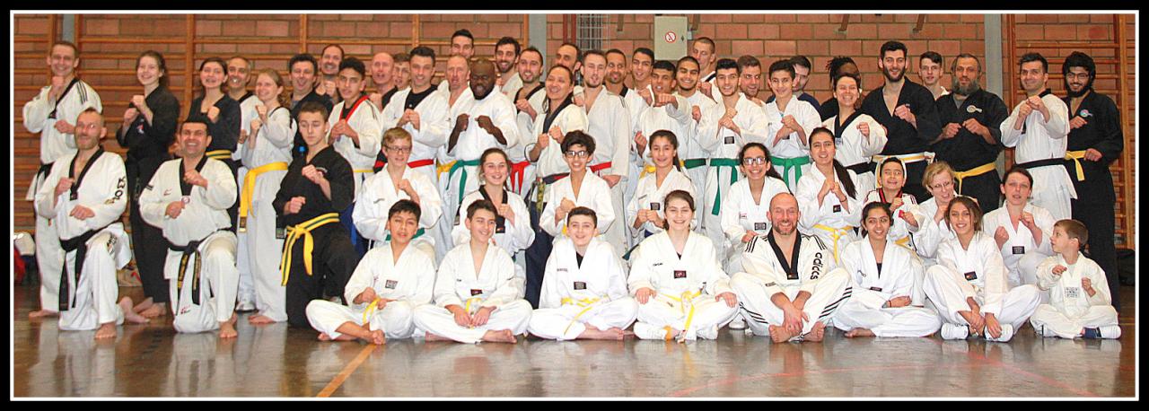 Stage Verviers - 29.01.2017 - groupe des Juniors & Adultes