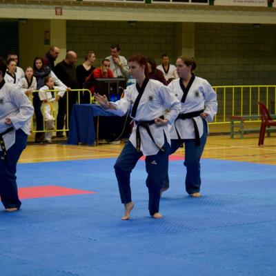 Championnat de Belgique 2016 - Poomsae