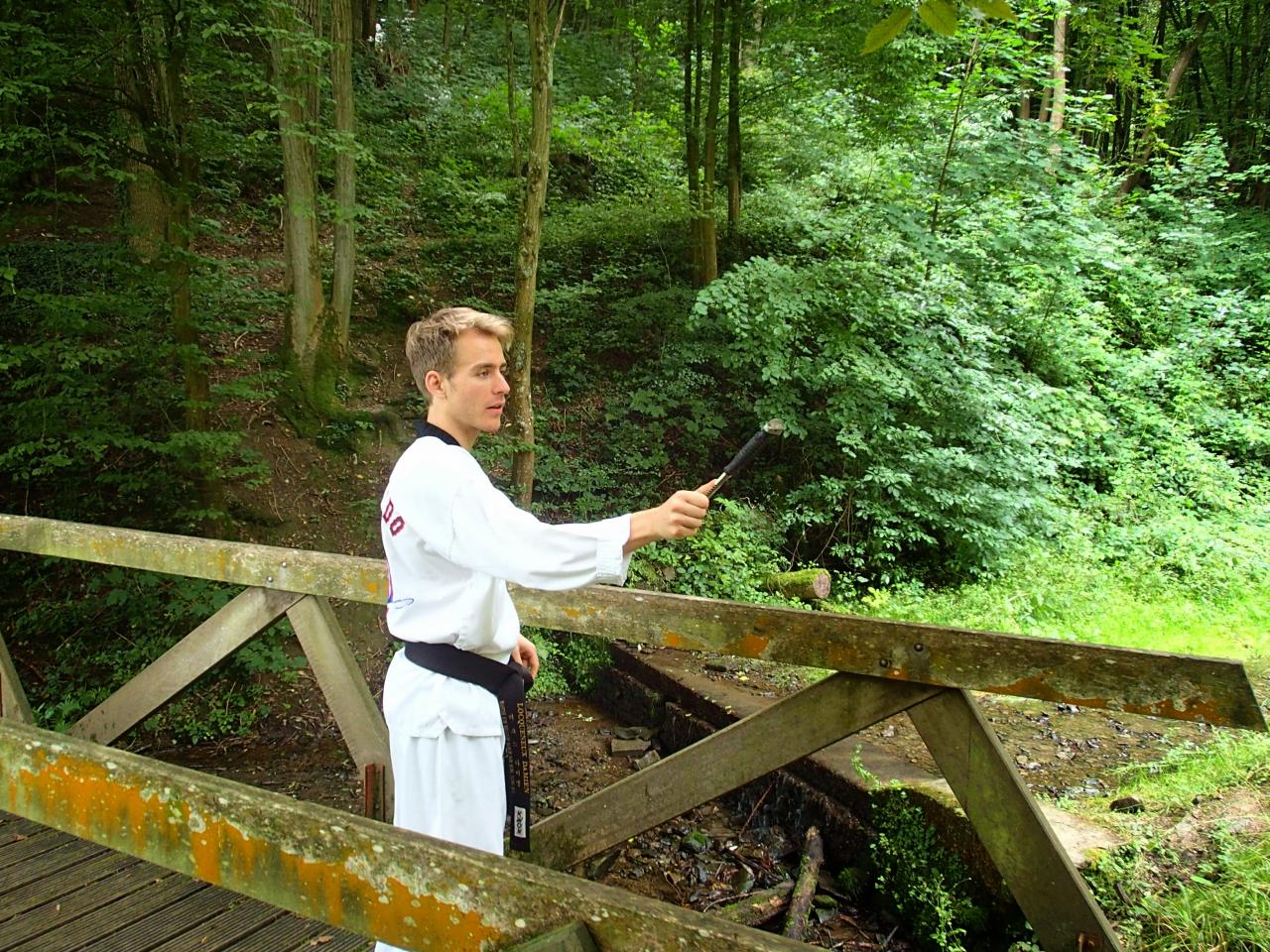 Stage d'été 2014