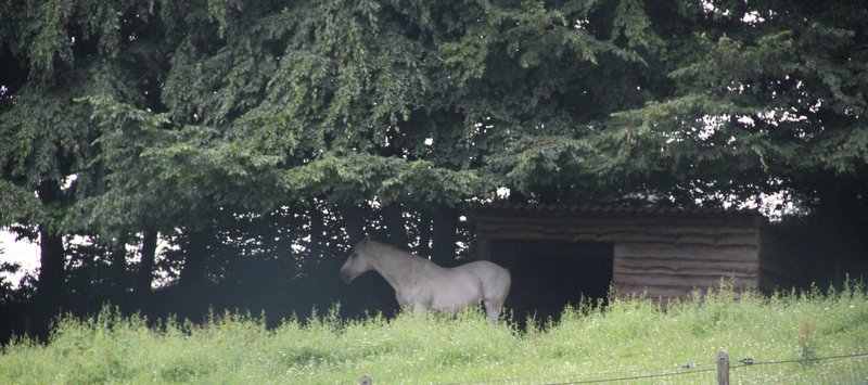 Stage été 2013