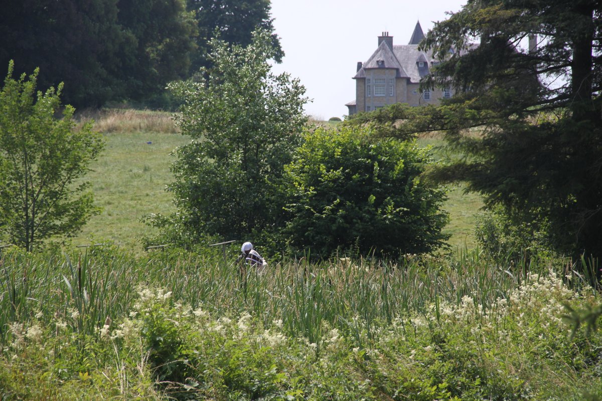 Stage d'été 2018 (448)