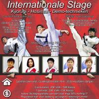 Stage taekwondo limburg 10 06 2017